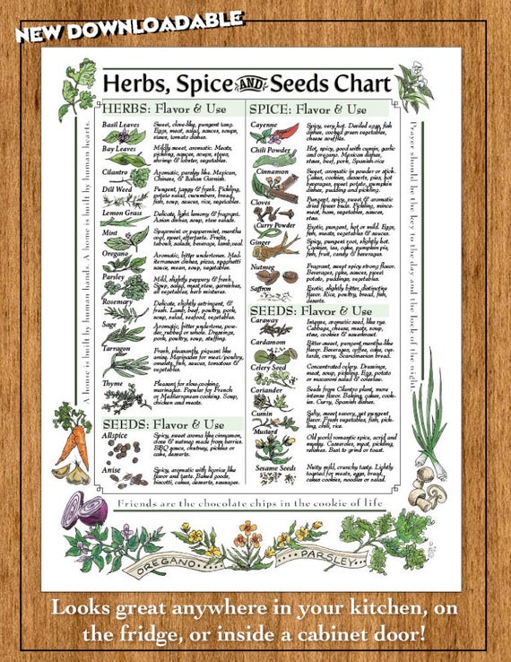 Herbs And Spices How To Use Them Chart