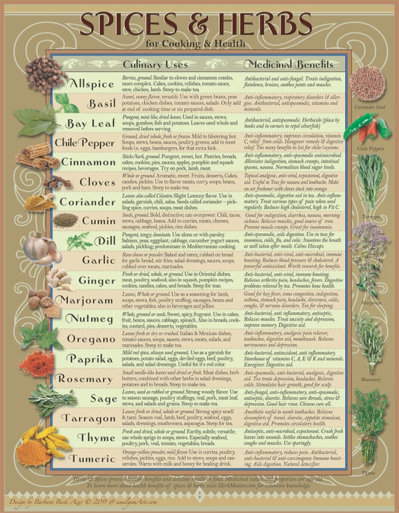 Health Benefits Of Herbs And Spices Chart