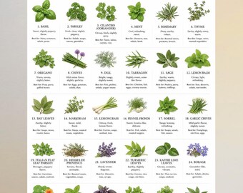 Paquete imprimible de hierbas culinarias / 30 hierbas y sus usos / Guía de cultivo de hierbas / Tabla de sustitución de hierbas / Hoja de referencia rápida de cocina en PDF