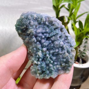 May include: A close-up of a blue-green mineral specimen with a bubbly, textured surface. The natural stone has a mix of blue and green hues, with a rough, uneven shape. The mineral is held in a hand.