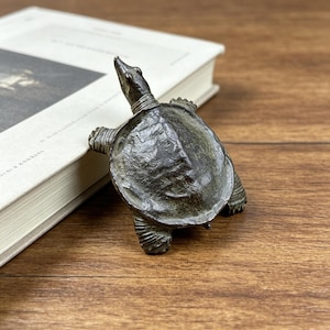May include: A bronze turtle figurine with a detailed shell and head, placed near a book. The figurine has a weathered appearance, suggesting an antique or vintage aesthetic. The turtle is on a wooden surface.