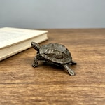 Turtle Collectibles