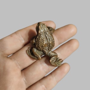 Könnte beinhalten: Kleine Froschfigur aus Bronze. Der Frosch befindet sich in einer geduckten Position, mit detaillierter Textur auf Rücken und Beinen. Die Figur wird in einer Hand gehalten, um ihre Größe und Handwerkskunst zu zeigen. Die Gesamtästhetik ist rustikal und detailliert.
