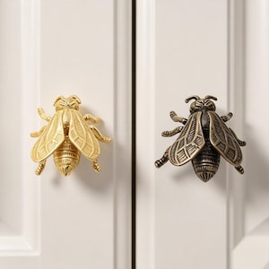 Get 2 brass Snail drawer handles, insect-shaped cabinet door handles