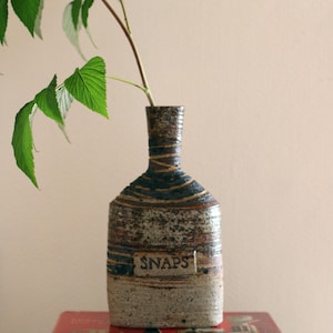May include: A tall, narrow ceramic bottle with a textured, mottled brown and beige glaze. The bottle features a rectangular label with the word SNAPS embossed on the front. A thin, leafy green branch extends from the narrow neck of the bottle.