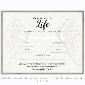 Miscarriage Certificate Acknowledgment of Life Template - Etsy