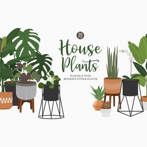 30 House Plant Clip Art, Greenery Clipart, Potted Plant Clipart, Succulent, Botanical Clipart, Plants Graphics, Indoor Plants