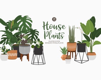 House Plant Clipart: Potted Plants & Succulents (30 PNG)