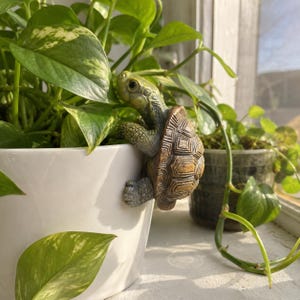 Puede incluir: Una detallada figura decorativa de tortuga trepando por el lateral de una maceta de cerámica blanca. La tortuga tiene un caparazón marrón y piel verde-gris. Exuberantes plantas de potos verdes rodean la maceta.