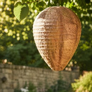 May include: A teardrop-shaped paper lantern with a textured, light brown surface and horizontal ribbed detailing. The lantern features a small metal loop at the top for hanging and exhibits a mottled, organic appearance resembling a natural hive.