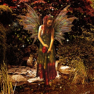 The last rose of summer, 11x14 print, double matted to a 16x20, hand signed, limited edition, standard size, beautiful Fairy, quiet magic,