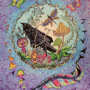 Ravens Mushrooms, Questa è una carta collezionabile americana, ottima per album, scambi, piccoli luoghi, cornici da tavolo, gatto alato, rafia, drago alato