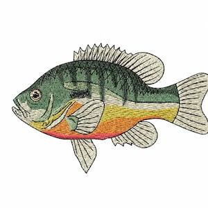 Bluegill Fish, Pumpkinseed Sunfish Embroidery Machine Design – Digital Download File