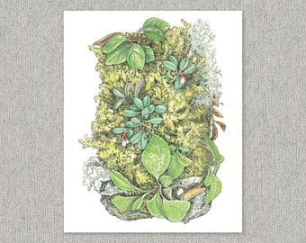 Spring Forest Art Print