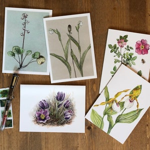 Fleurs sauvages de l'Alaska - Lot de cinq cartes de vœux vierges