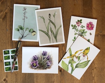 Alaska Wildflowers - Set of five blank greeting cards