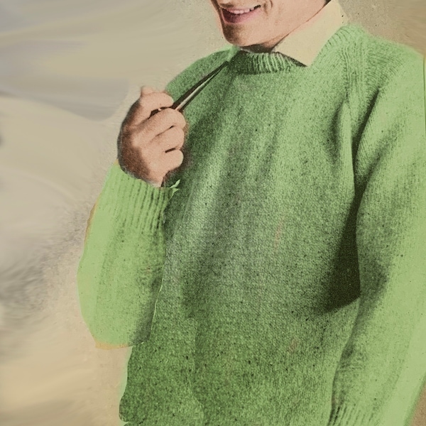 Classic Elegance Knitting Pattern PDF Instant Download  Man’s Raglan Sleeve Sweater Jumper with Crew or V Neck No 12 Don