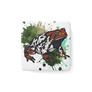 Eastern Toad Magnet, Original Art on Glossy Porcelain Tile
