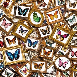 50PCS Framed Butterfly Sticker Pack, Clear Stickers, Vintage Stickers, Gallery Stickers, Gold Stickers for Albums, Gift Cards, Insect Fans