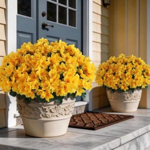 May include: Two large, round, cream-colored planters with embossed floral patterns, each overflowing with a dense cluster of vibrant yellow flowers. The planters are positioned on a light-colored porch in front of a dark blue door and yellow siding.