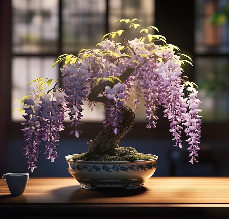 May include: A bonsai wisteria tree with cascading clusters of light purple flowers and green leaves, planted in a round ceramic pot with a blue and white pattern, positioned next to a small, plain, light-colored ceramic cup on a wooden surface.