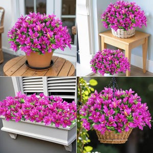 May include: A collection of artificial fuchsia flowers with green leaves, displayed in various containers including a terracotta pot, a white woven basket, a rectangular white window box, and a hanging brown wicker basket with a black chain.