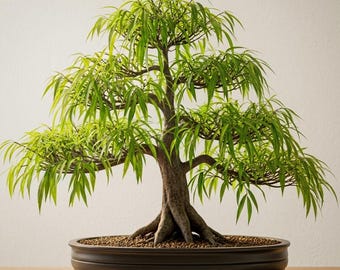 Weiden-Bonsai-Stecklinge, Miniatur-Baumsetzlinge für Zimmerpflanzen und den Gartenanbau