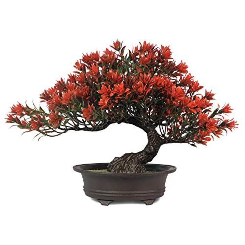 Pu&ograve; includere: Un bonsai artificiale con foglie rosso vivace e fogliame verde scuro. L'albero presenta un tronco spesso, strutturato e marrone scuro con una forma curva. &Egrave; piantato in un vaso di ceramica semplice, rotondo e di colore marrone scuro.