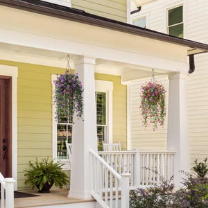 May include: Two hanging baskets filled with cascading purple and pink flowers suspended from the ceiling of a porch. Each basket features lush green foliage and vibrant blooms, creating a decorative display on the front of a house.