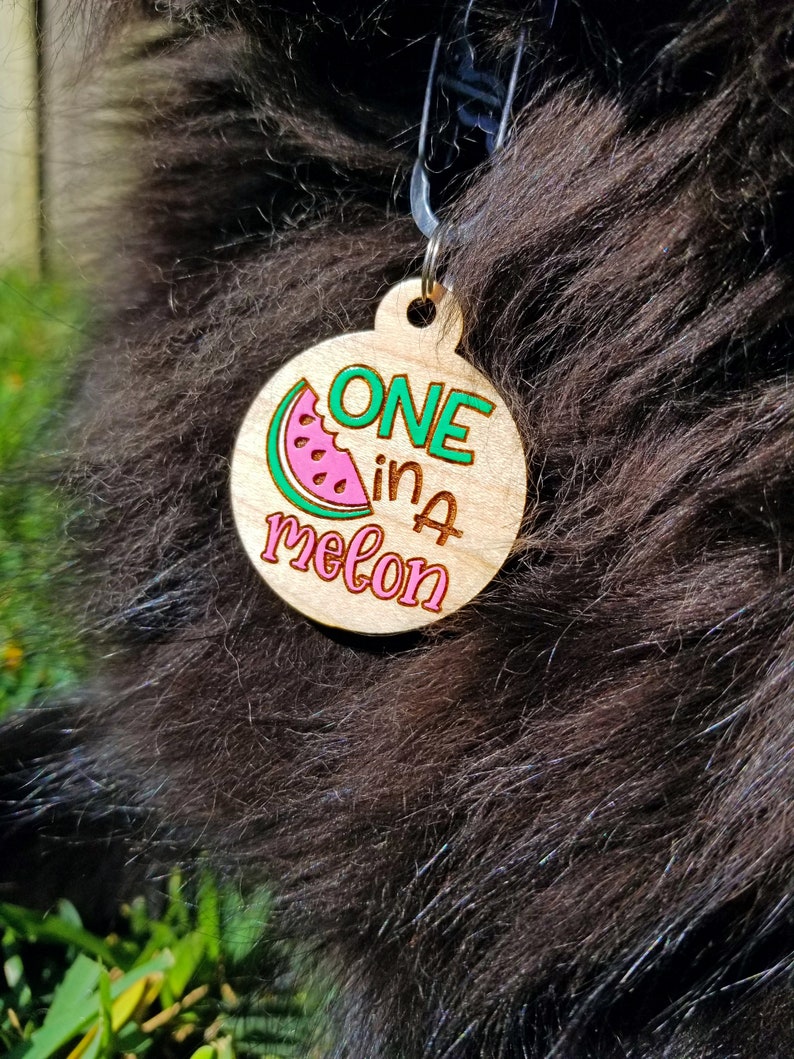 One in a Melon Pet Tag Etsy