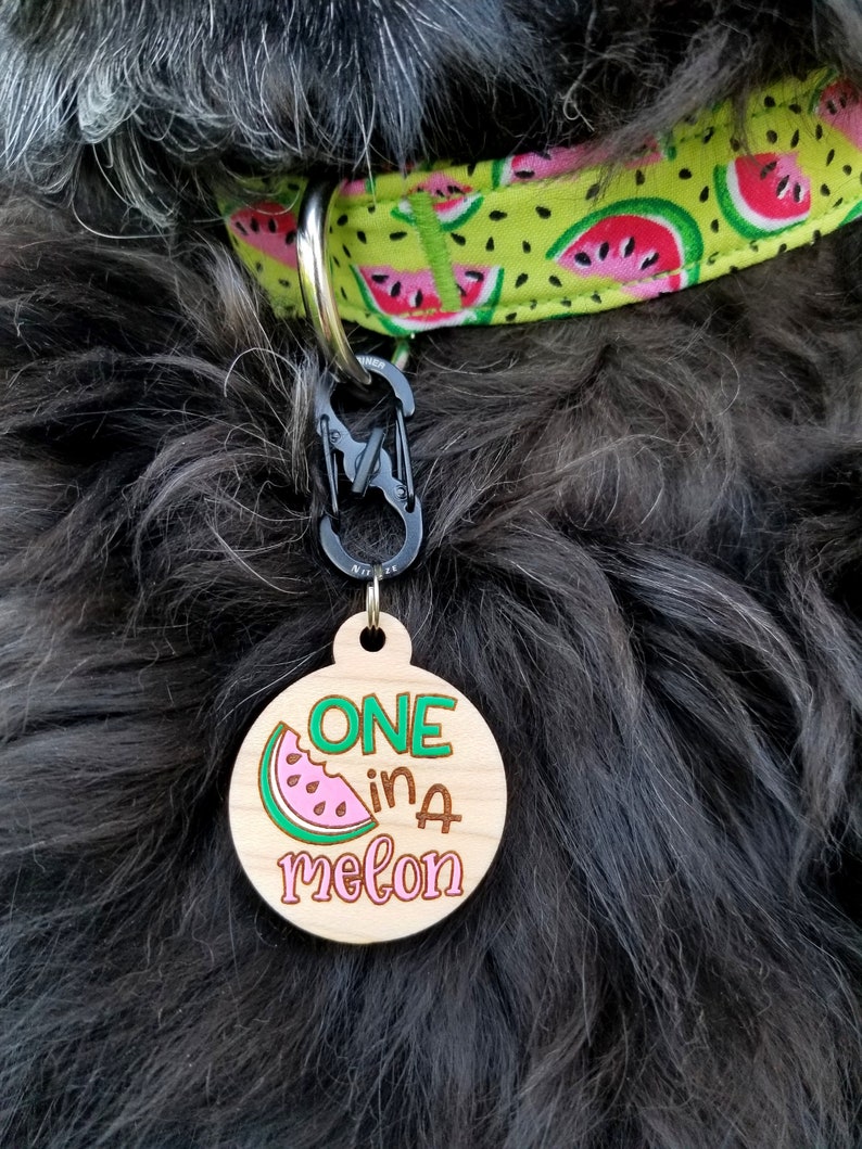 One in a Melon Pet Tag Etsy
