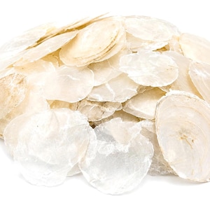 Natural Capiz Shells | Translucent Pearlescent Coastal Decor, Craft Supplies