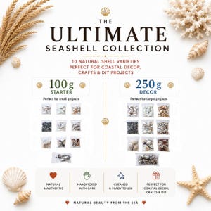 Può includere: Una collezione di conchiglie naturali con 10 varietà, presentata in due opzioni di peso da 100g e 250g. L'immagine mostra vari sacchetti di conchiglie assortite, decorati con spighe di grano, corallo e una stella marina su sfondo bianco.