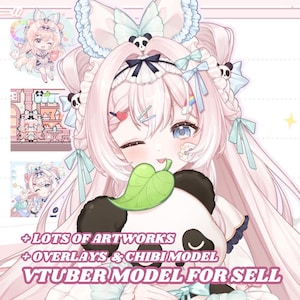 Panda Artist Girl | Premade Live2D VTuber Model FULLY RIGGED | For VTube Studio Streaming YouTube Twitch | Ready to use