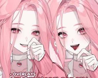 Pink Bunny Girl | Premade Live2D VTuber Model FULLY RIGGED | For VTube Studio Streaming YouTube Twitch | Ready to use