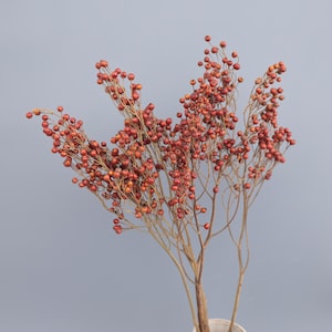 May include: A cluster of dried branches featuring numerous small, round, reddish-orange berries. The thin, woody stems branch out in multiple directions, supporting the dense collection of dried fruit. The overall structure is airy and branched.