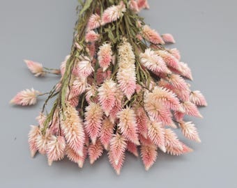 Dried Celosia Flower Bundle, Flamingo Feather, Blush Pink Decor, Fall Decor