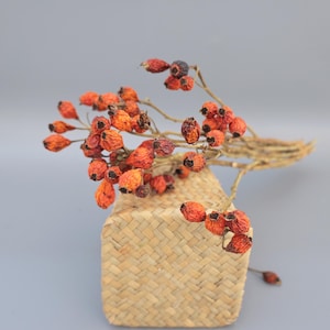 May include: A cluster of dried orange rose hips with dark brown tips attached to thin, woody stems. The stems are bundled together and rest against a light tan, woven rectangular container with a visible diagonal basket-weave pattern.