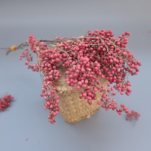 May include: A bundle of dried pink peppercorns with small, round berries attached to thin, woody stems. The peppercorns are arranged in a cluster, resting atop a small, woven, light brown bamboo basket with a square base and textured pattern.