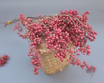 A Bundle Natural Dried Pink Peppercorn Berries, Dried Pink Pepper Berry Branch