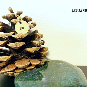 Aquarius Necklace / Zodiac Sign Necklace / Aquarius Jewelry / Aquarius Gifts / Aquarius / Zodiac Necklace / Astrology Necklace / Zodiac