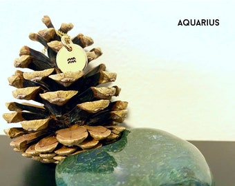 Colar Aquário/Colar Signo do Zodíaco/Joias Aquário/Presentes Aquário/Aquário/Colar Zodíaco/Colar Astrologia/Zodíaco