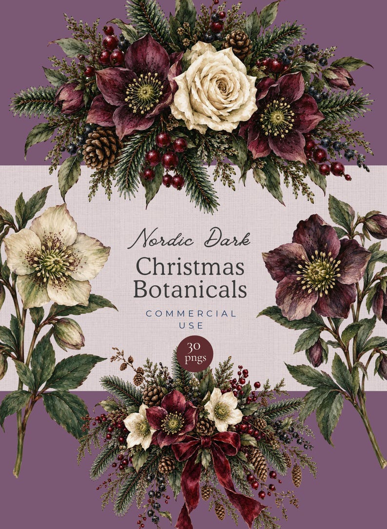 Może przedstawiać: Cyfrowa kolekcja Nordic Dark Christmas Botanicals zawierająca akwarelowe ilustracje ciemiernik&oacute;w, gałązek sosnowych, szyszek i czerwonych jag&oacute;d. Tekst głosi Nordic Dark Christmas Botanicals COMMERCIAL USE 30 pngs.