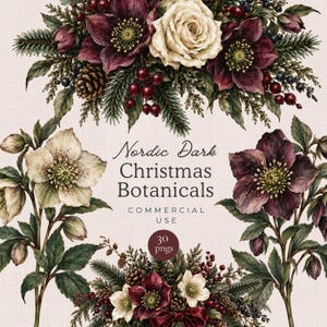 Może przedstawiać: Cyfrowa grafika przedstawiająca ciemnoczerwone i kremowe kwiaty ciemiernika, gałązki sosny, szyszki i czerwone jagody. Tekst brzmi Nordic Dark Christmas Botanicals, COMMERCIAL USE oraz 30 pngs, na jasnym, teksturowanym tle.