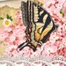 Inhaber:in von <a href='https://www.etsy.com/de/shop/FahrenheitVintage?ref=l2-about-shopname&from_page=listing' class='wt-text-link'>FahrenheitVintage</a>