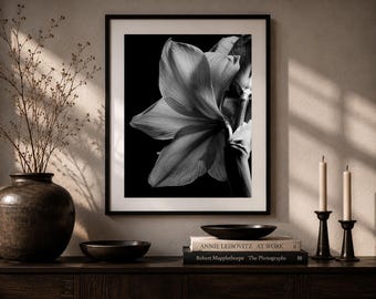 Amaryllis Study I - Fine Art Black and White Botanical Photography Print, Moody Floral Wall Art, Minimalist Decor, Digital Download