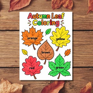 Puede incluir: Una página para colorear blanca titulada Autumn Leaf Coloring que presenta cinco hojas grandes coloreadas en naranja, amarillo, marrón, rojo y verde, cada una etiquetada con su nombre de color, más dos hojas pequeñas en verde y naranja.