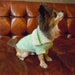 see more listings in the dog sweater section