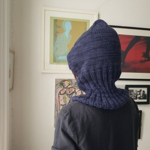 May include: A navy blue knitted balaclava, covering the head and neck. The balaclava is made of a thick, textured yarn and has a ribbed neck. The person is wearing a dark shirt. Artwork hangs on the wall in the background.