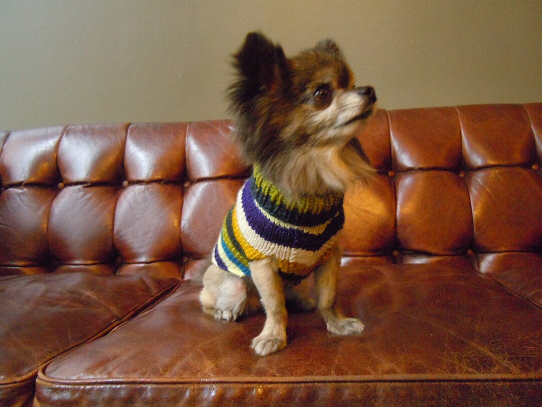 Merino wool dog sweater cheap